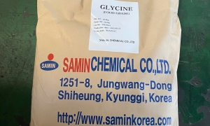 Glycin – Axit Amin Thiết Yếu Trong Thực Phẩm và Dược Phẩm