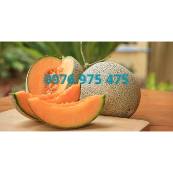 Hương dưa lưới