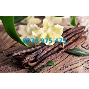 Hương Vanilla
