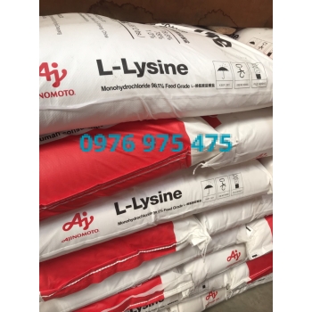 Lysine China