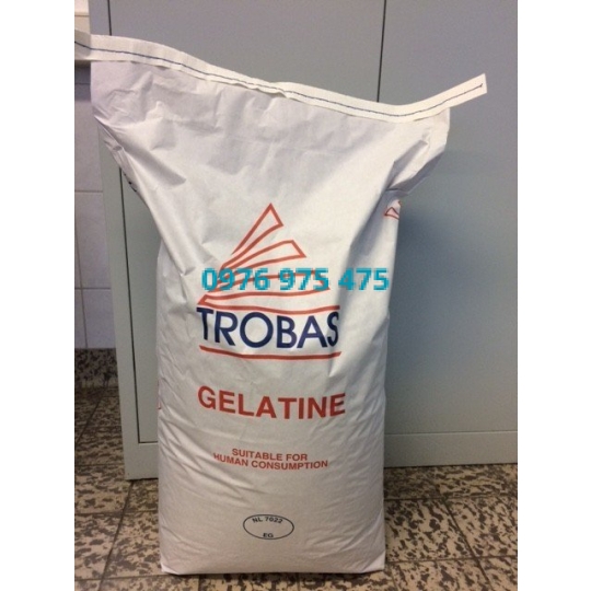Gelatin Hà Lan