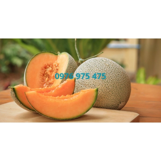 Hương dưa lưới