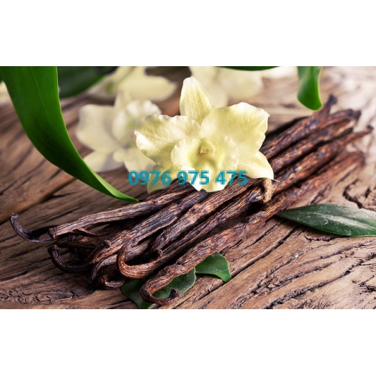Hương Vanilla
