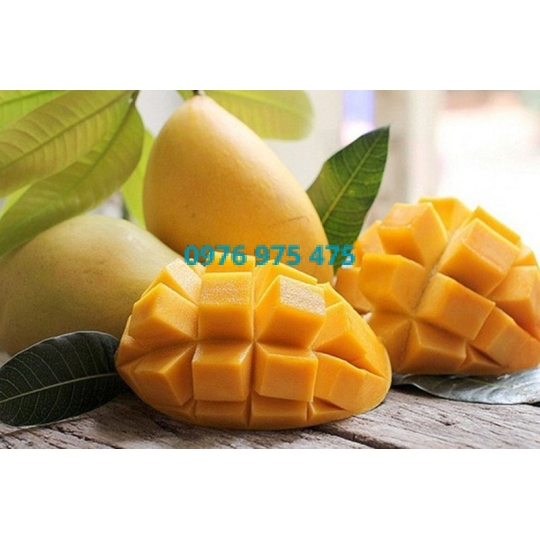 Hương xoài