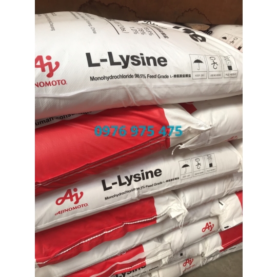Lysine China