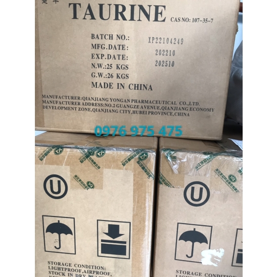 Taurin jongan